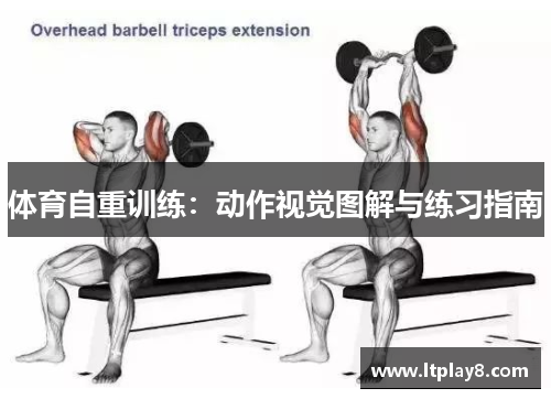 体育自重训练：动作视觉图解与练习指南